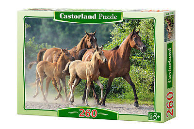 Puzzle 260 PUREBRED ARABIANS jigsaw ARABSKIE KONIE CASTORLAND *JBook