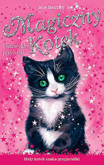 MAGICZNY KOTEK NIEZWYKLY PRZYJACIEL SUE BENTLEY polska ksiazka dla dzieci *JBook