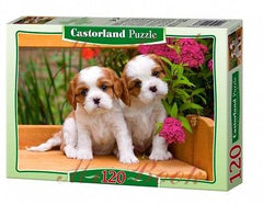 PUZZLE 120 SPANIEL PUPPIES jigsaw SZCZENIETA CASTORLAND *JBook