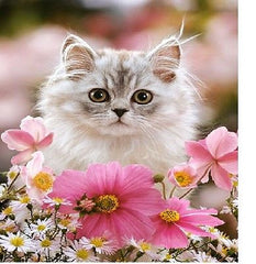 Puzzle 260 MADE OF FUR  jigsaw KOTEK W ROZANYCH KWIATACH CASTORLAND *JBook