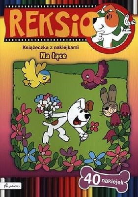 REKSIO NA LACE KOLOROWANKA Z NAKLEJKAMI polska ksiegarnia dla dzieci *JBOOK