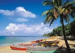 Puzzle 1000 RAJSKA PLAZA TROPICAL BEACH dispatch 24h! palmy jigsaw NEW *JBook