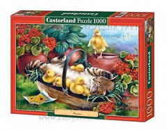 Puzzle 1000 PLAYTIME jigsaw  KOTEK I KACZUSZKI  CASTORLAND *JBook
