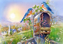 Puzzle 1000 BIRDS AND MAILBOX jigsaw PTAKI ANDRES ORPINAS CASTORLAND *JBook