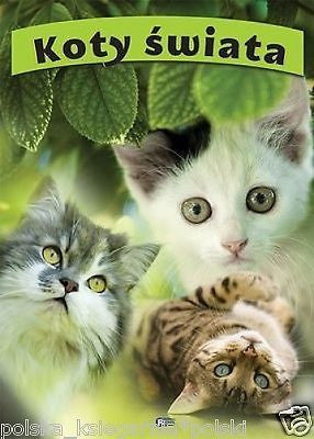KOTY SWIATA album fotografie POLISH BOOK CATS TW. rasy kotow wysylka 24h *JBook