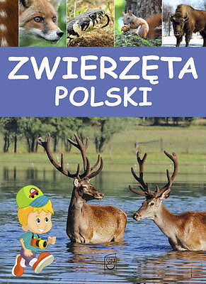 ZWIERZETA POLSKI DLA DZIECI album polska ksiazka ksiegarnia twarda *T *JBOOK