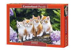 Puzzle 1000  KOT kotki jigsaw THE CAT CREW   NEW CASTORLAND *JBook