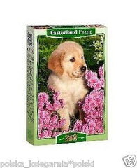 Puzzle 260 LITTLE RETRIEVER jigsa MALY PIESEK  szczeniak CASTORLAND  *JBook