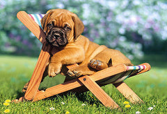 Puzzle 260 PIESEK NA LEZAKU PUPPY ON DECKCHAIR jigsaw dla dzieci for kids *JBook