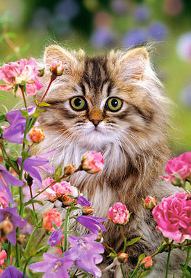 Puzzle 1500 KOT WSROD KWIATOW jigsaw FURRY SOFTNESS CAT CASTORLAND  *JBook