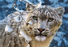 Jigsaw Puzzle 1500 SNOW LEOPARD CASTORLAND *T *JBook
