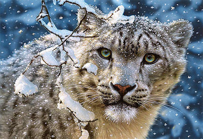 Jigsaw Puzzle 1500 SNOW LEOPARD CASTORLAND *JBook