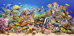 Puzzle 4000 UNDERWATER LIFE jigsaw NEW ocean podwodny swiat CASTORLAND *JBook